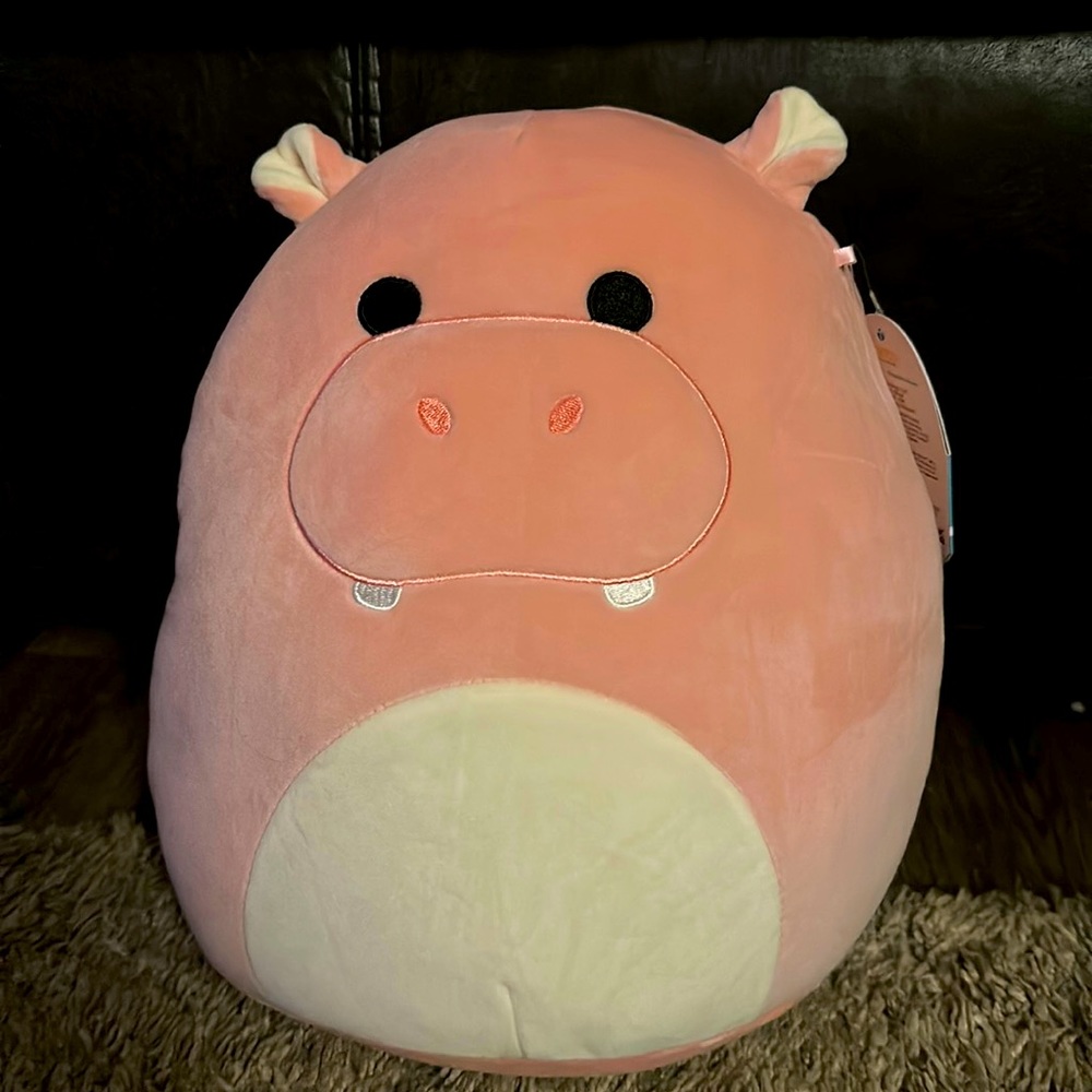 Squishmallows Riddle the Hippo 10”